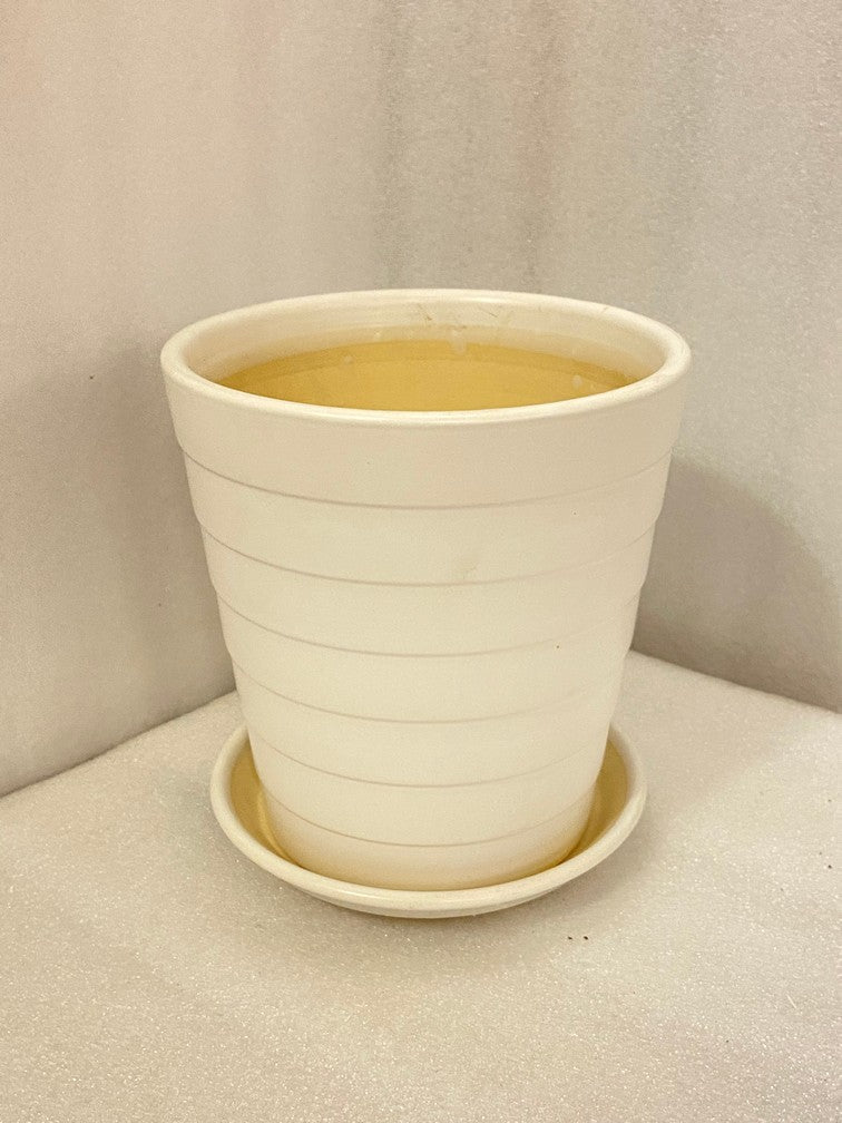 Fermosa Plants V-Shaped Lines Pot with Tray
