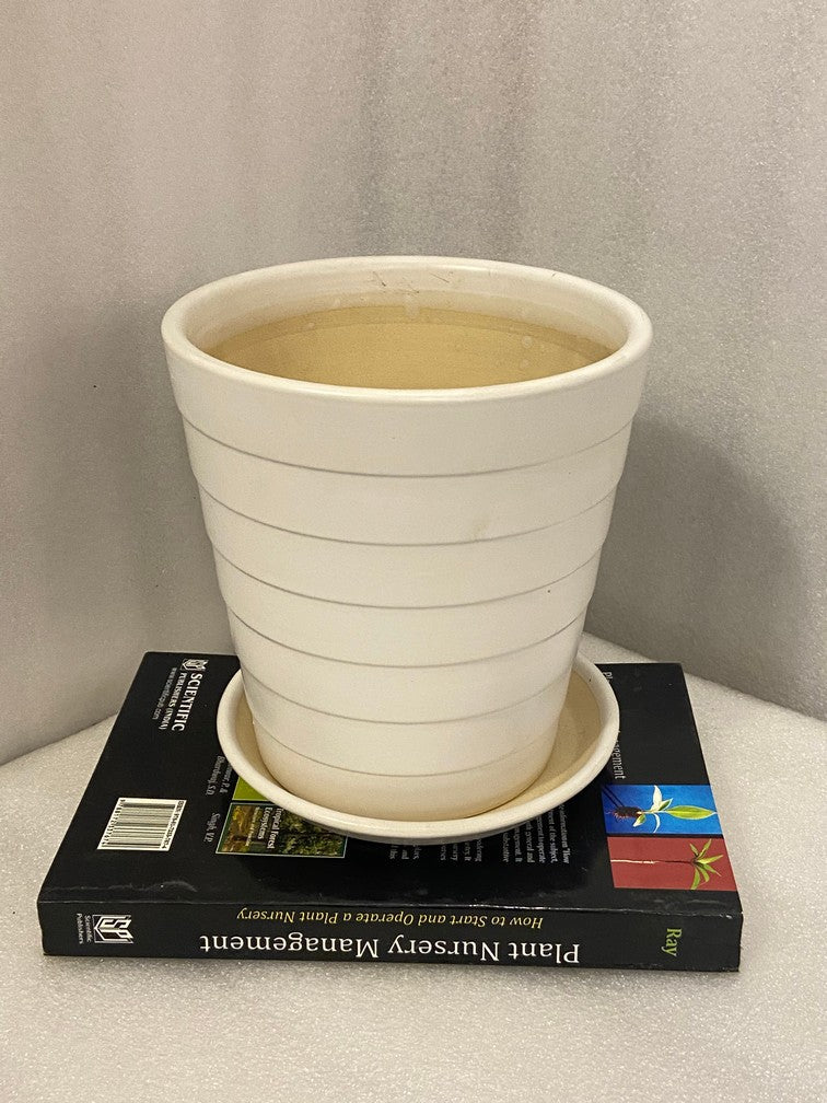 Fermosa Plants V-Shaped Lines Pot with Tray